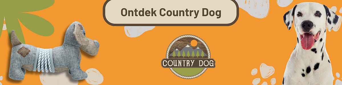 Dier, Hondje, Hond, Zoogdier, Huisdier, Dier, Hond, Zoogdier, Huisdier